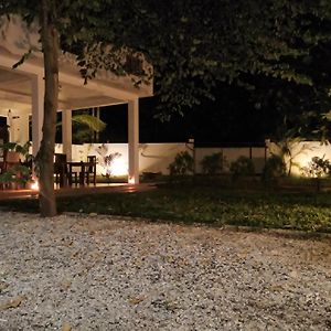 Sounds Of Nature Mini Hotel